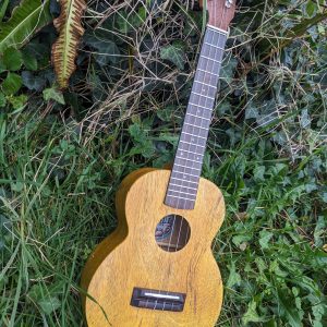 ukulele concert manguier