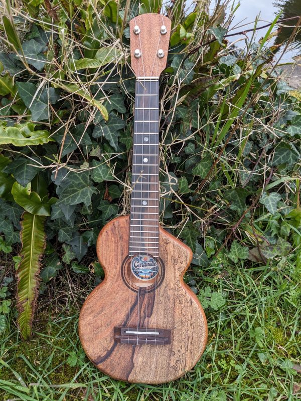 ukulele concert monoxyle andromède