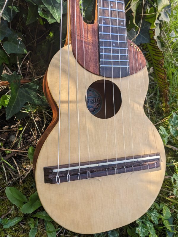 ukulele harp concert