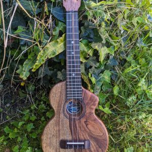 ukulele concert monoxyle manguier elite