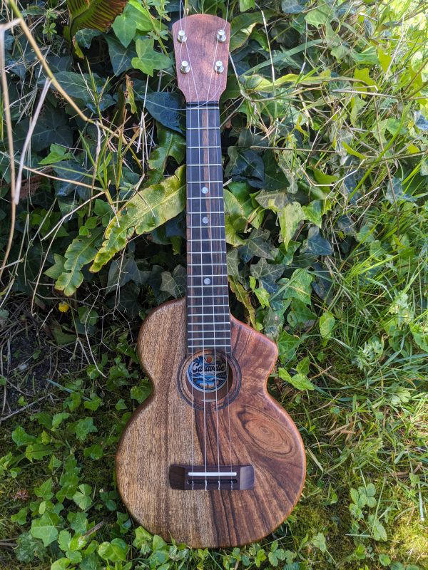ukulele concert monoxyle manguier elite