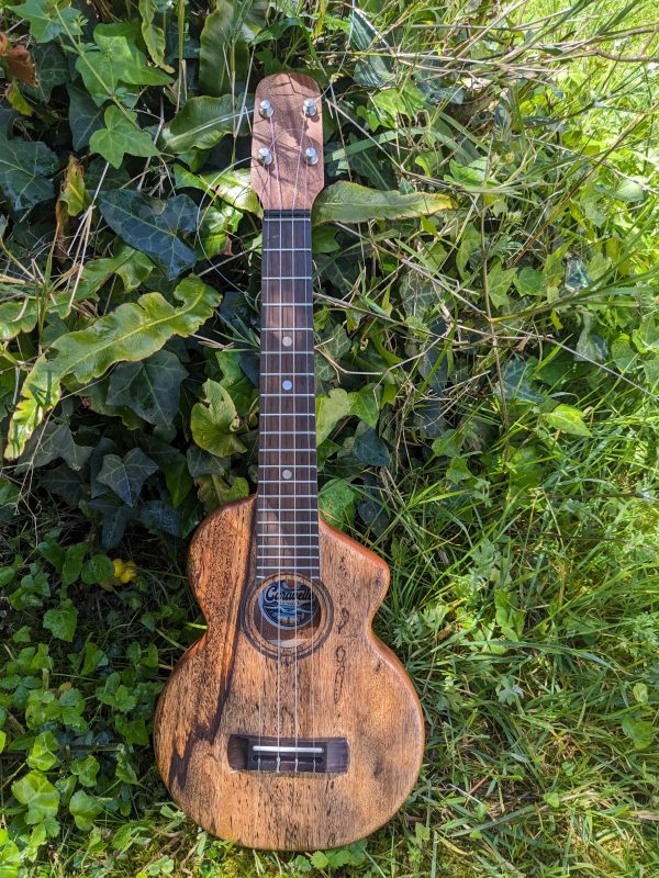 ukulele concert manguier monoxyle