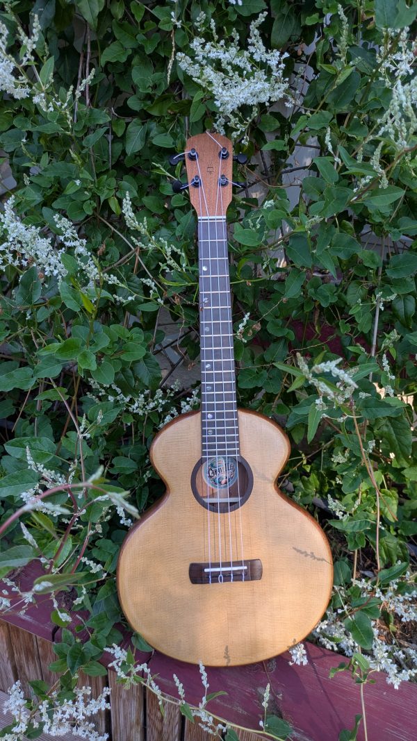 ukulele tenor semi monoxyle korina épicéa torréfié – Image 7