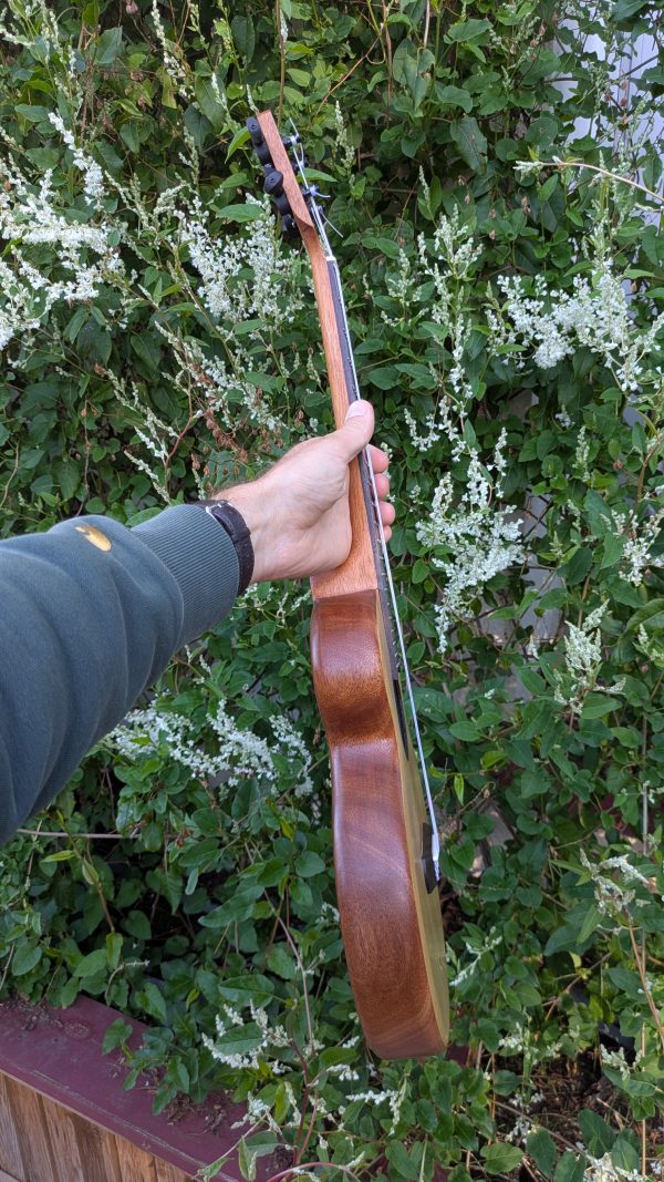ukulele tenor semi monoxyle korina épicéa torréfié – Image 6