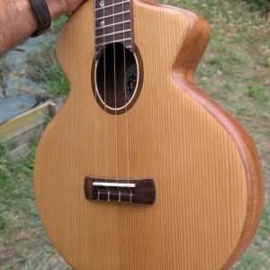 ukulele tenor élite monoxyle