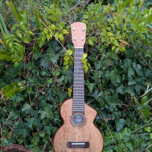 ukulele concert monoxyle