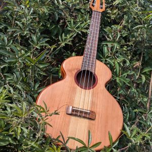 ukulele tenor