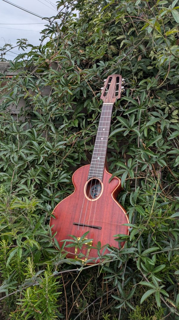 ukulele concert cordes acier monoxyle padouk – Image 5