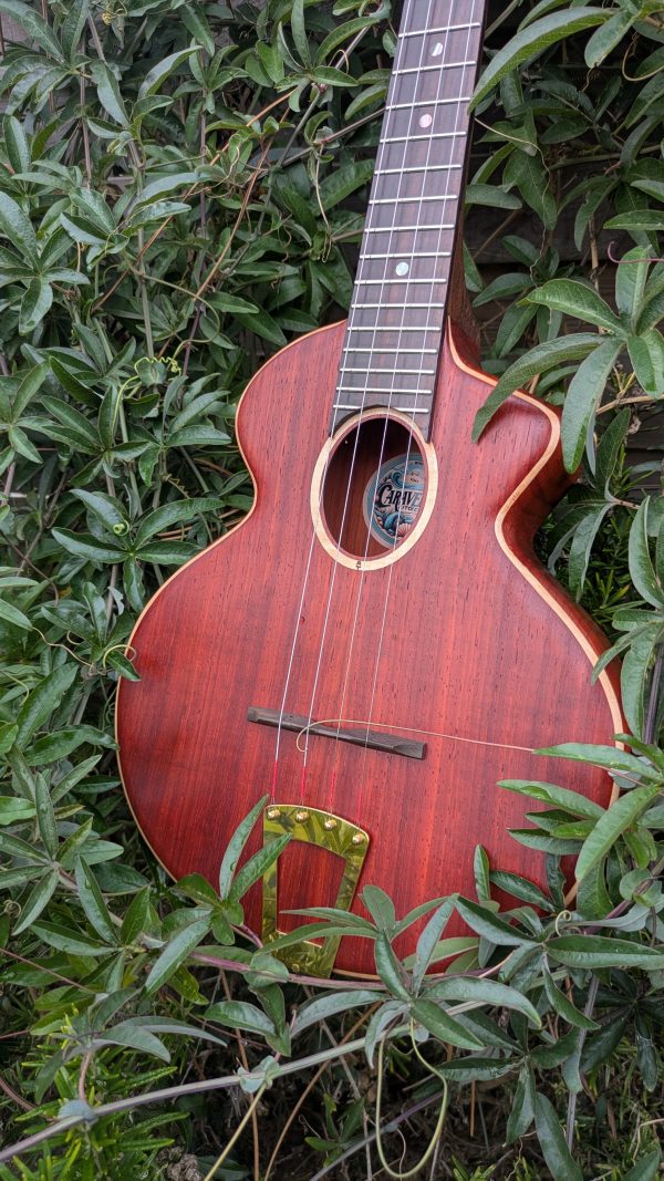 ukulele concert cordes acier monoxyle padouk – Image 6