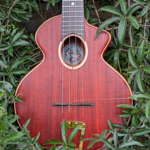 ukulele concert padouk
