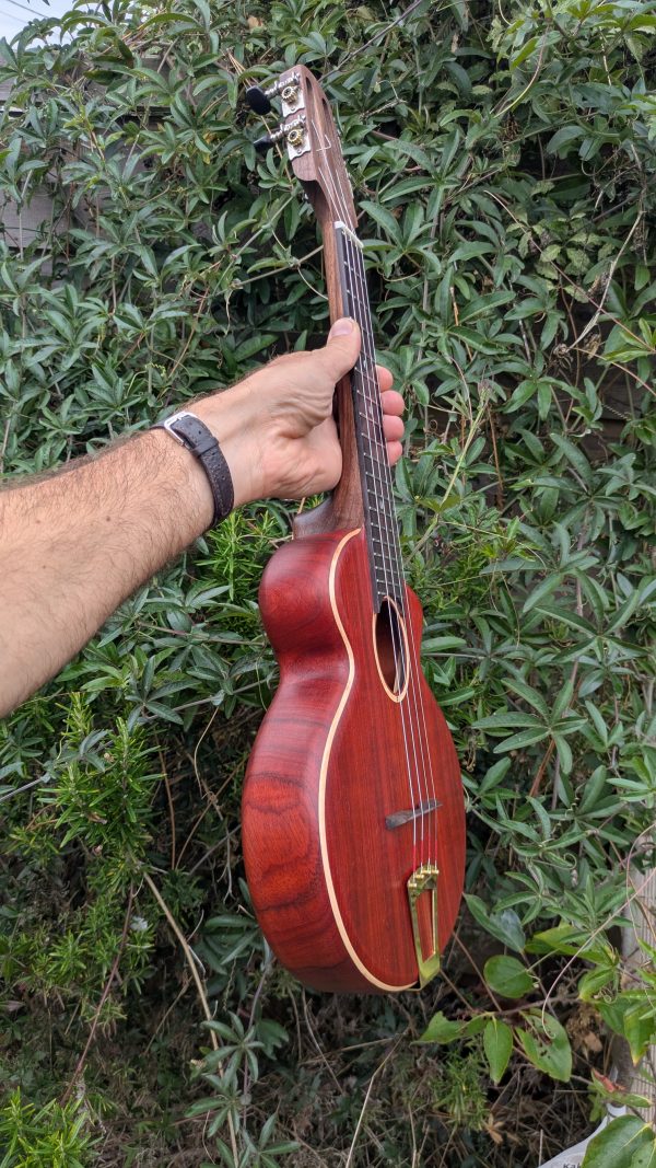 ukulele concert cordes acier monoxyle padouk – Image 7