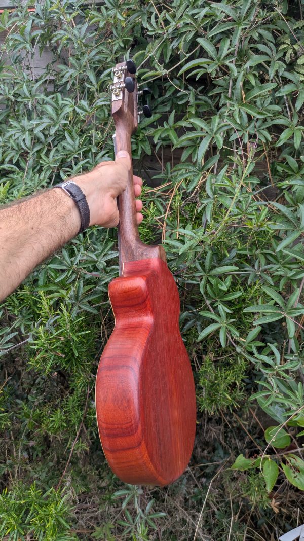 ukulele concert cordes acier monoxyle padouk – Image 11