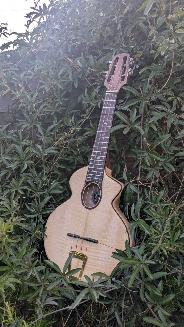 ukulele concert cordes acier érable monoxyle – Image 13