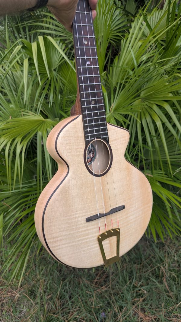 ukulele concert cordes acier érable
