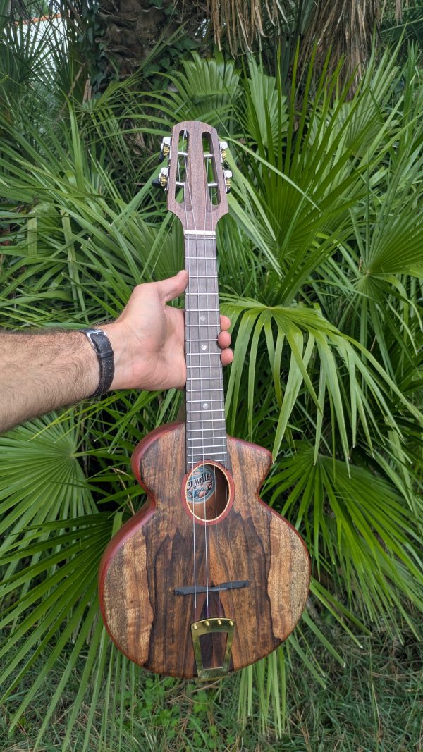 ukulele concert cordes acier monoxyle manguier et padouk – Image 5