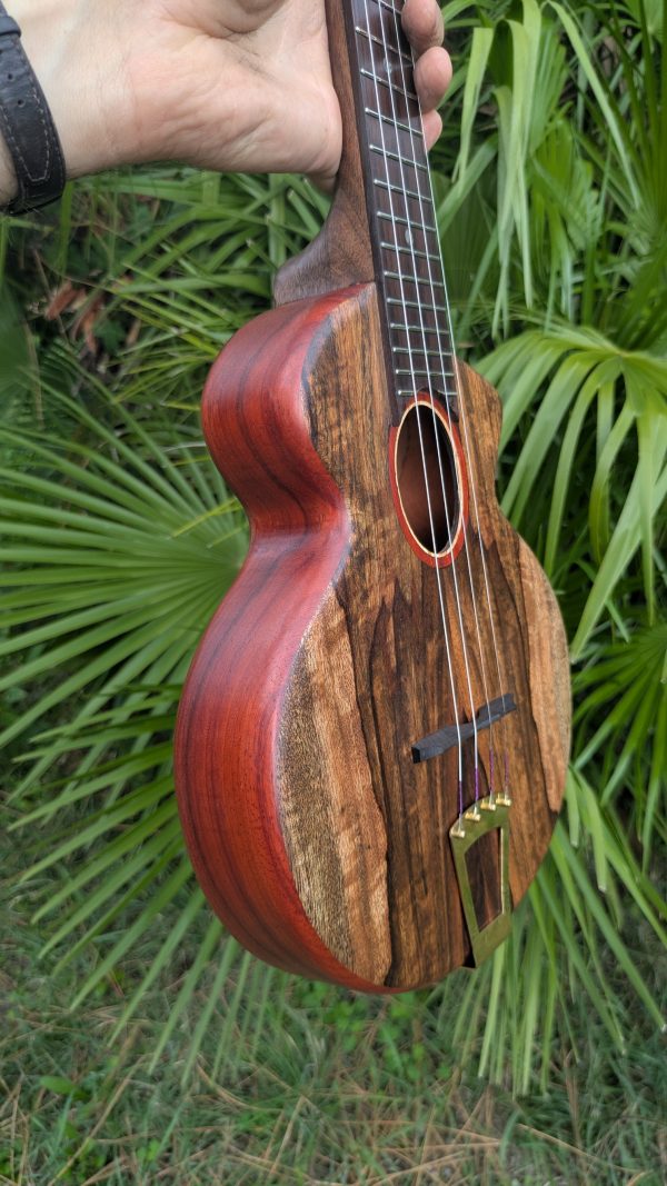 ukulele concert cordes acier monoxyle manguier et padouk – Image 10