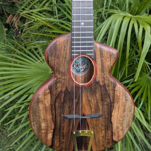 ukulele manguier cordes acier