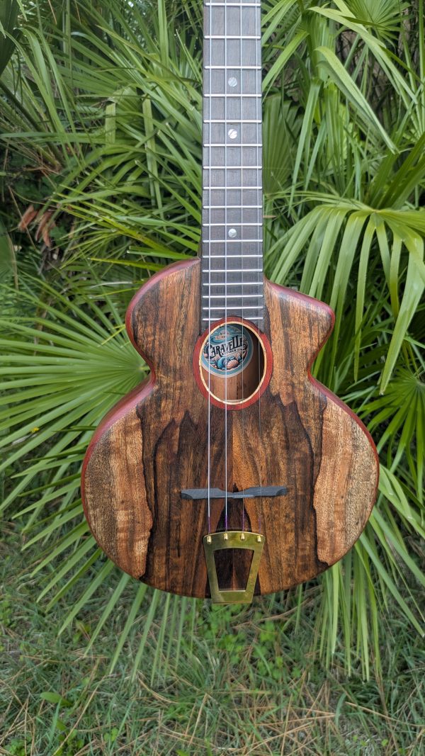 ukulele manguier cordes acier