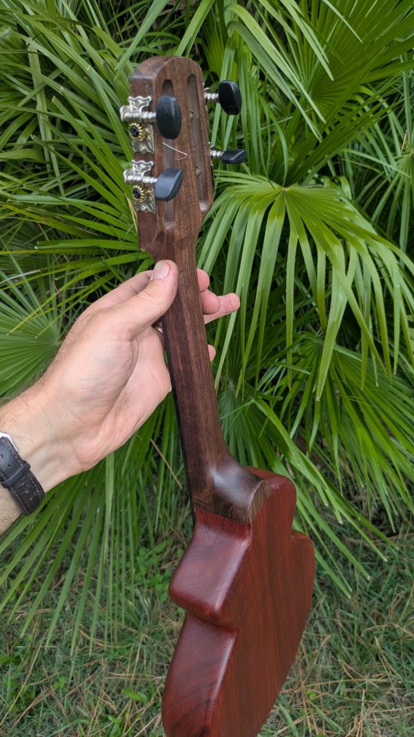 ukulele concert cordes acier monoxyle manguier et padouk – Image 3