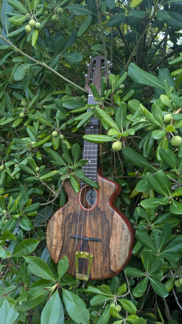 ukulele concert cordes acier monoxyle manguier et padouk – Image 6