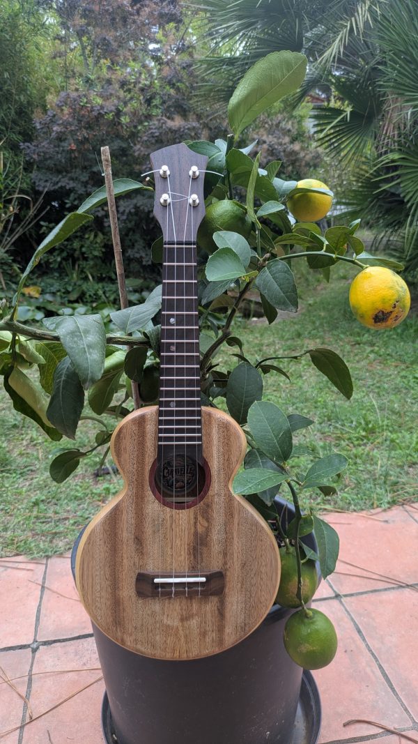 ukulele soprano monoxyle manguier ayous – Image 6