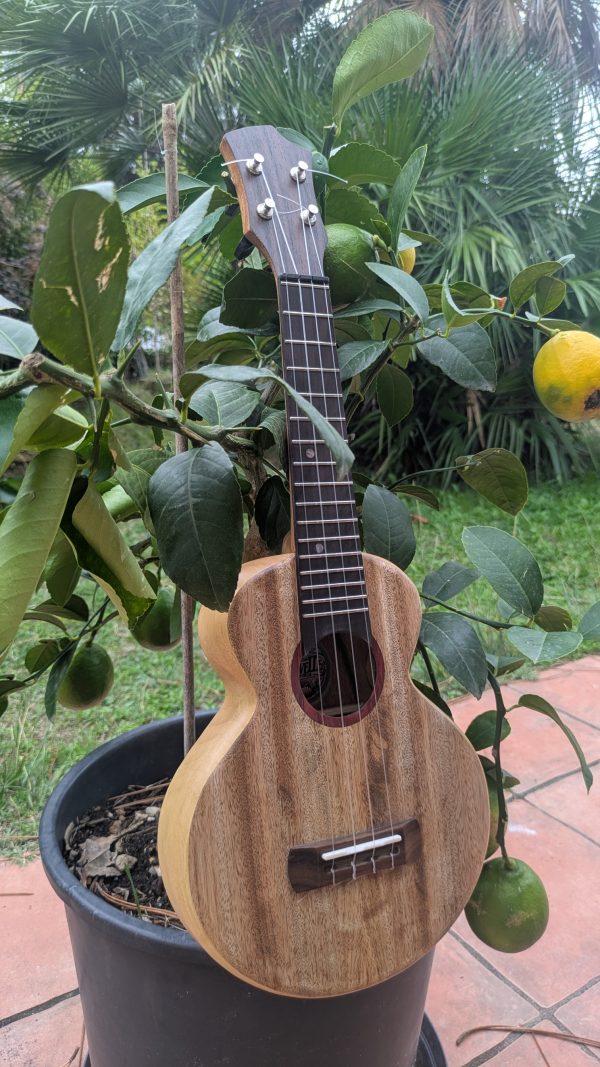 ukulele soprano monoxyle manguier ayous – Image 8