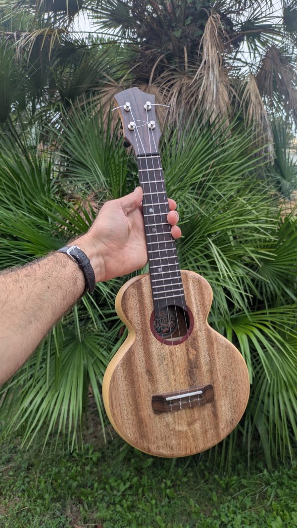 ukulele soprano monoxyle manguier ayous – Image 3