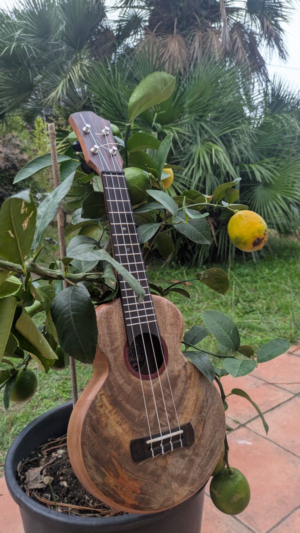 ukulele soprano manguier monoxyle – Image 3