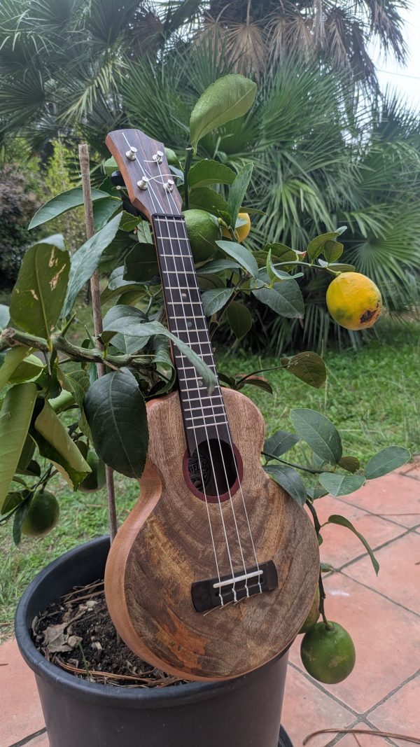 ukulele soprano manguier monoxyle – Image 9