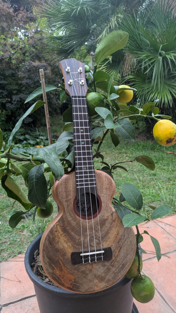 ukulele soprano manguier monoxyle – Image 10