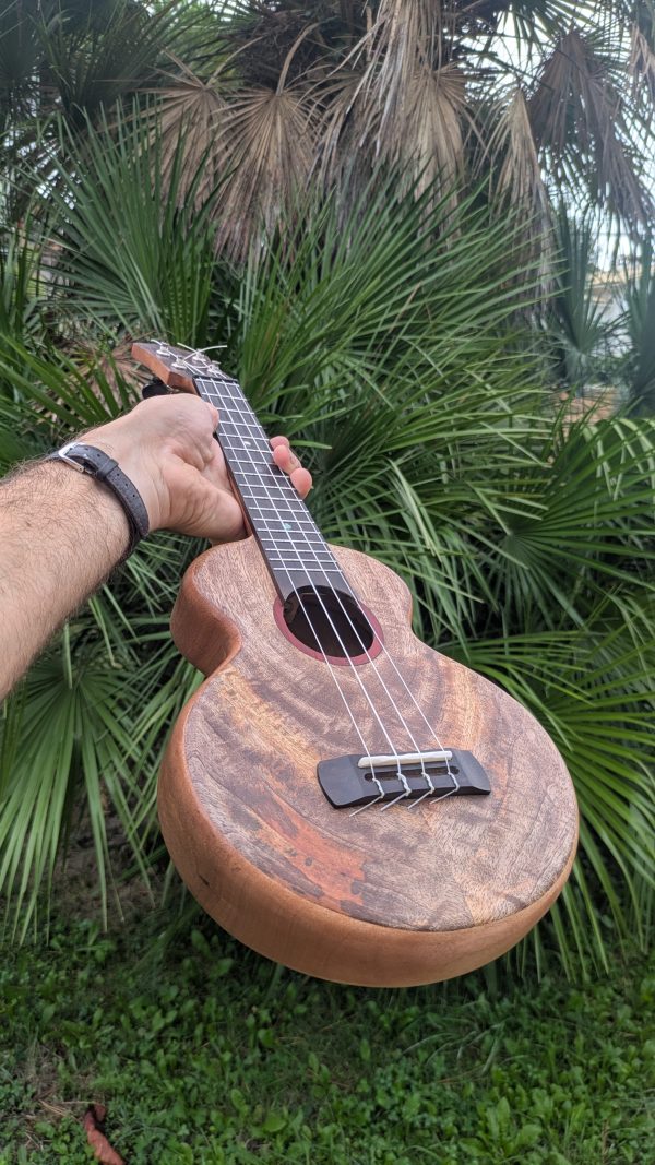 ukulele soprano manguier monoxyle – Image 2