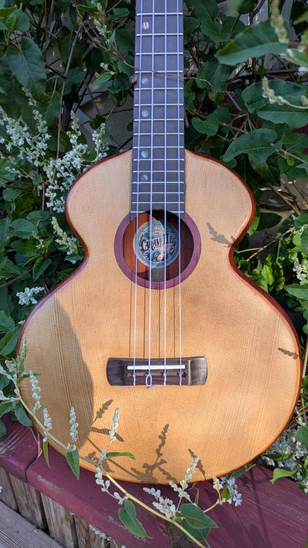 ukulele tenor