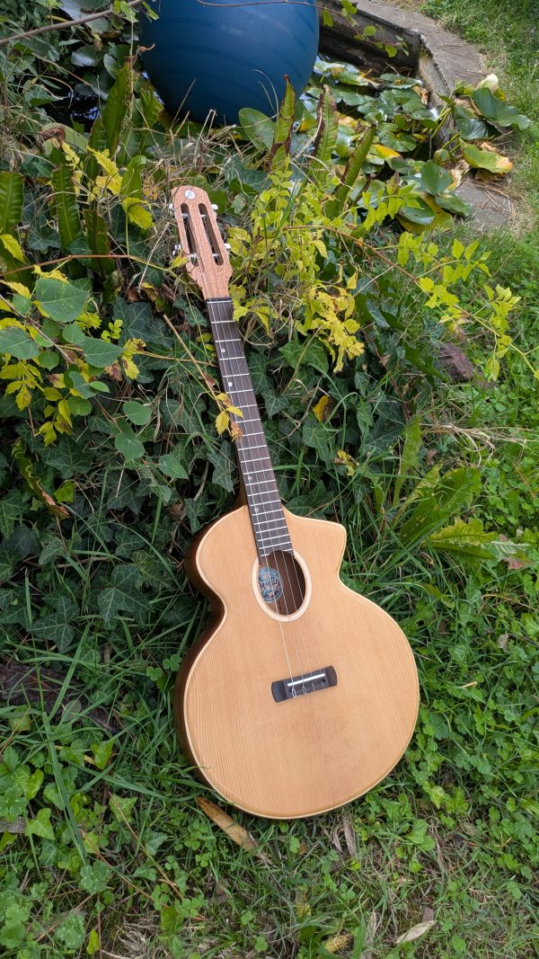 ukulele baryton custom