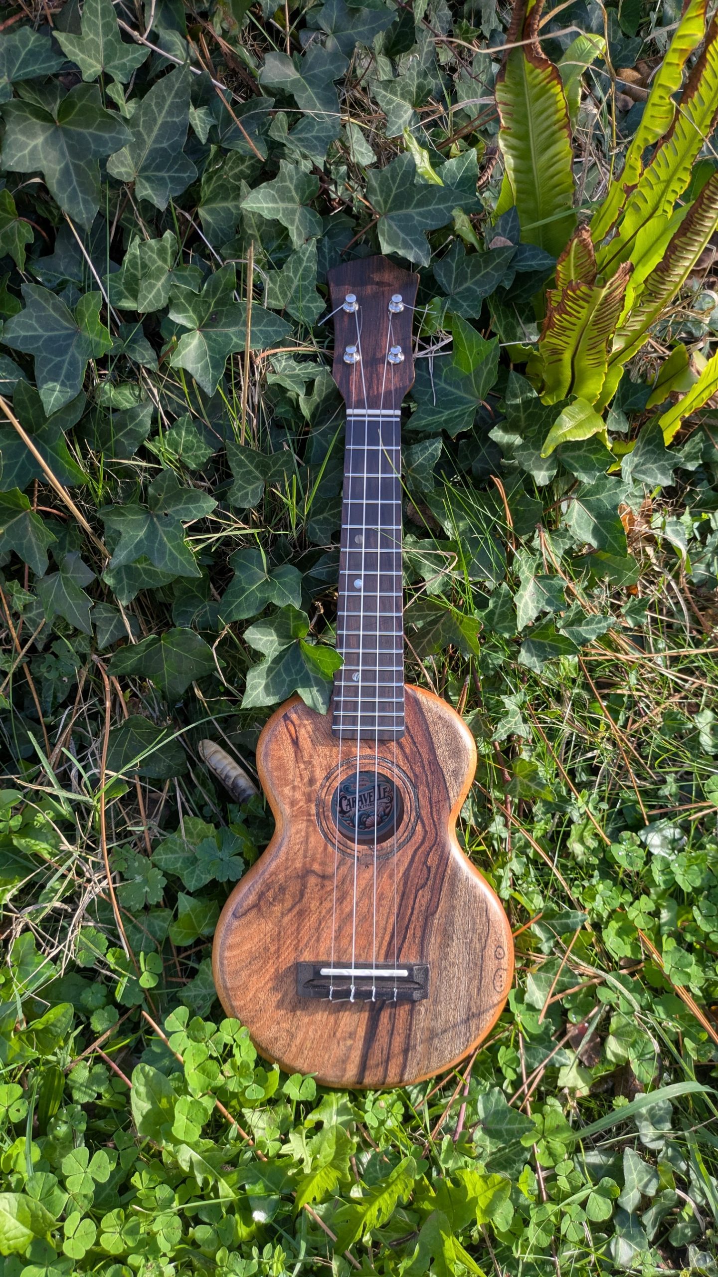 ukulele soprano grillon