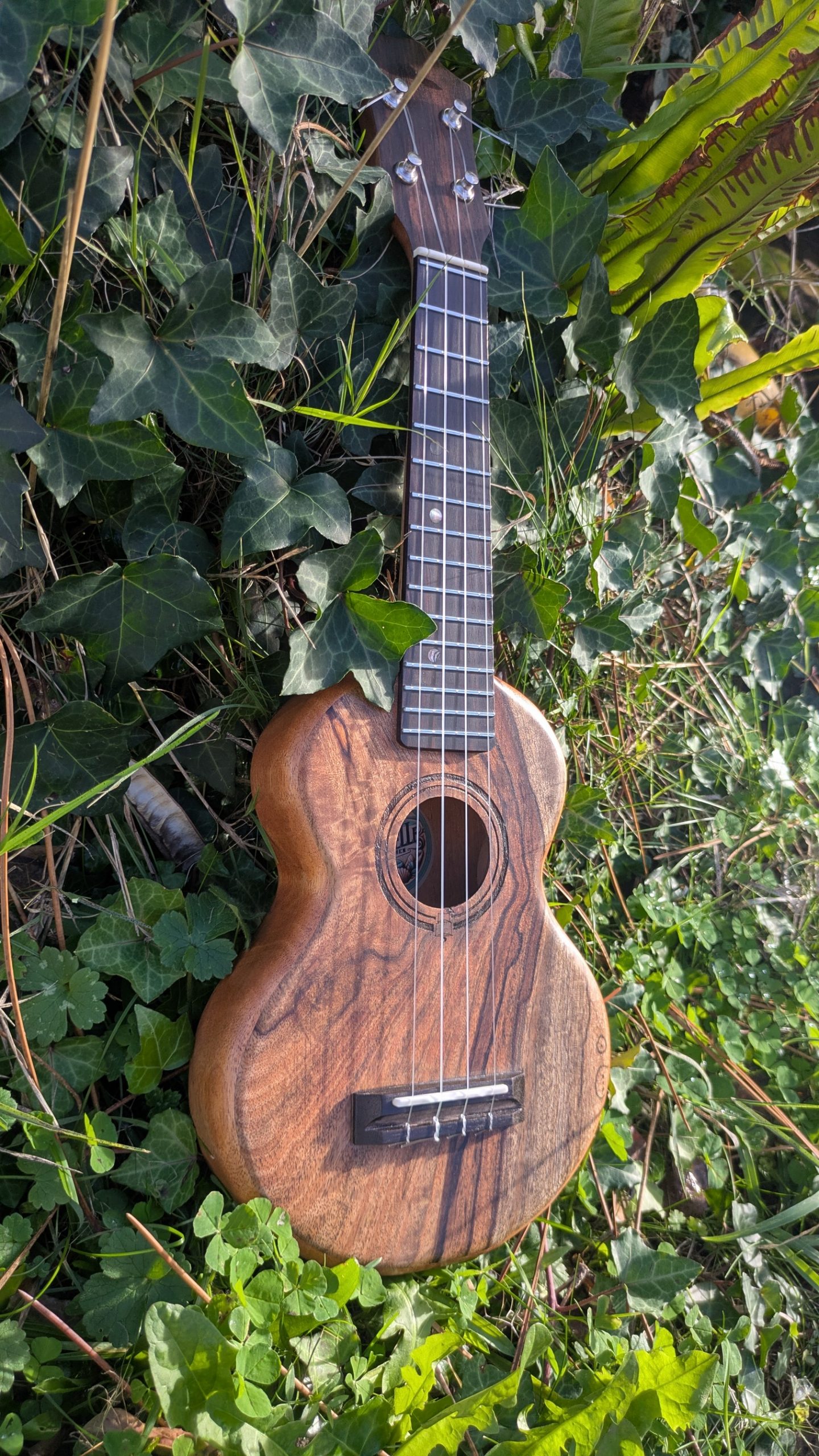 ukulele monoxyle grillon manguier – Image 5