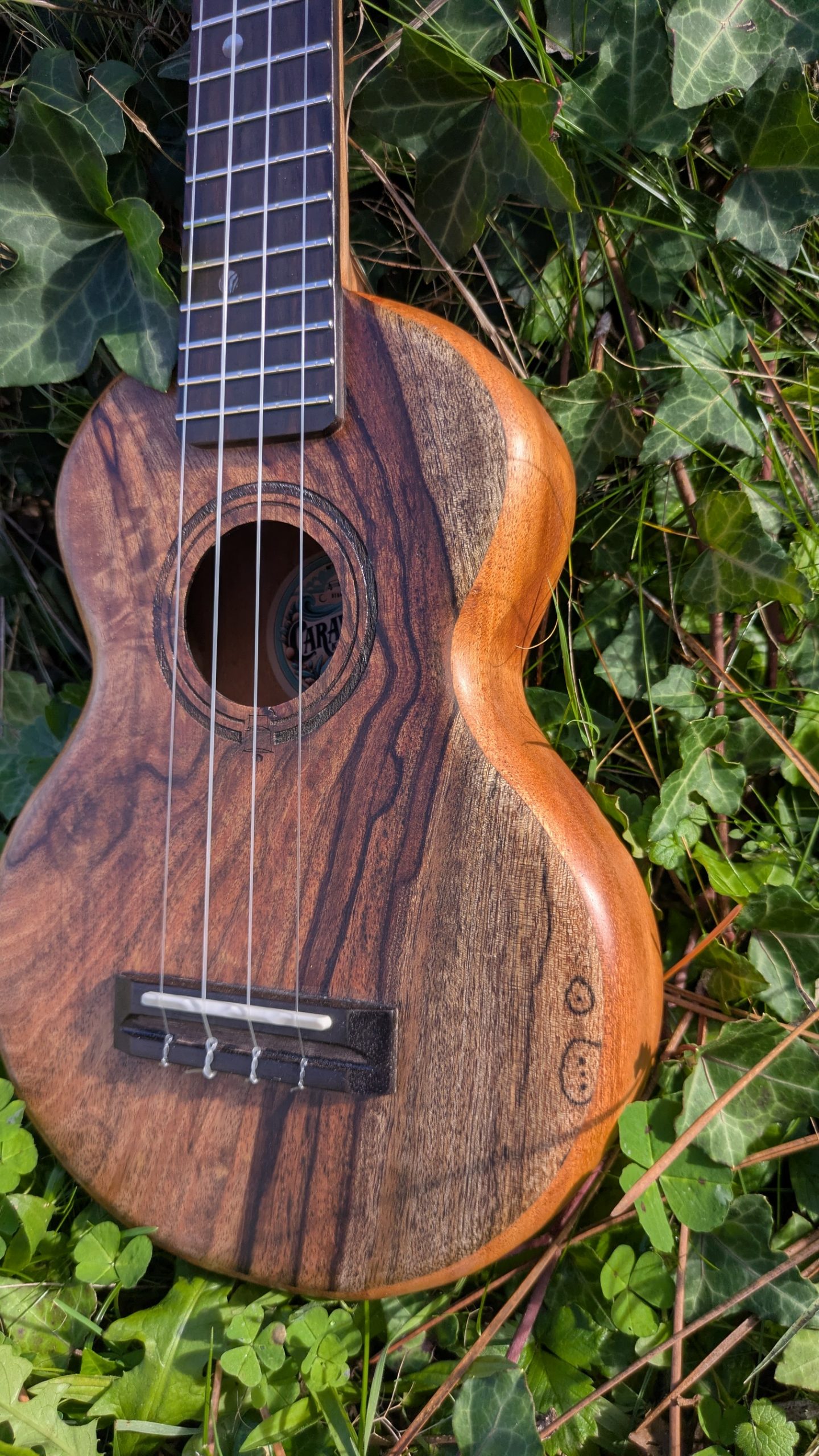 ukulele monoxyle grillon manguier – Image 2