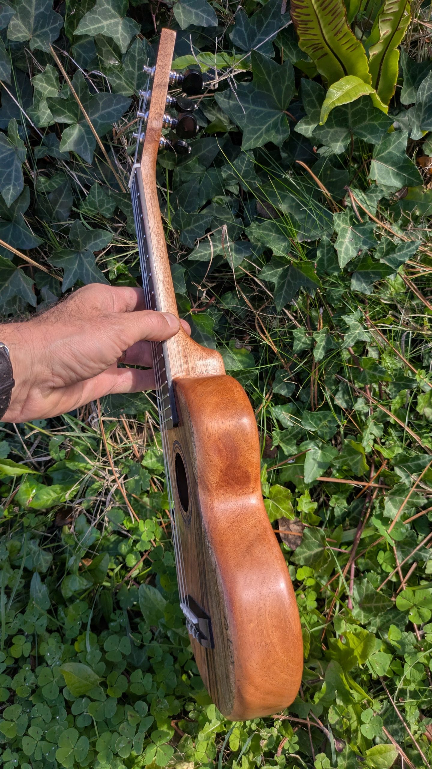 ukulele monoxyle grillon manguier – Image 4