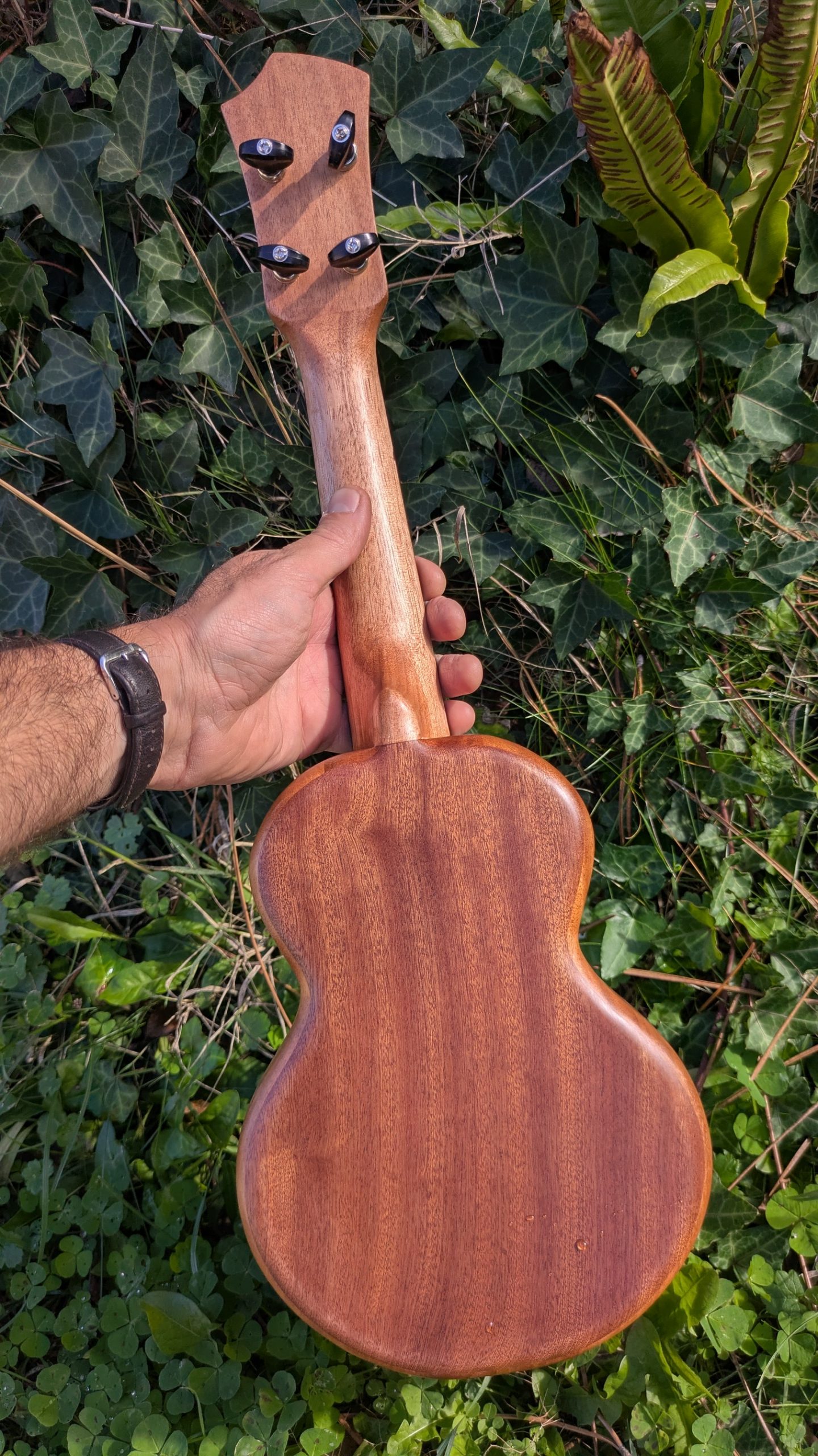 ukulele monoxyle grillon manguier – Image 3