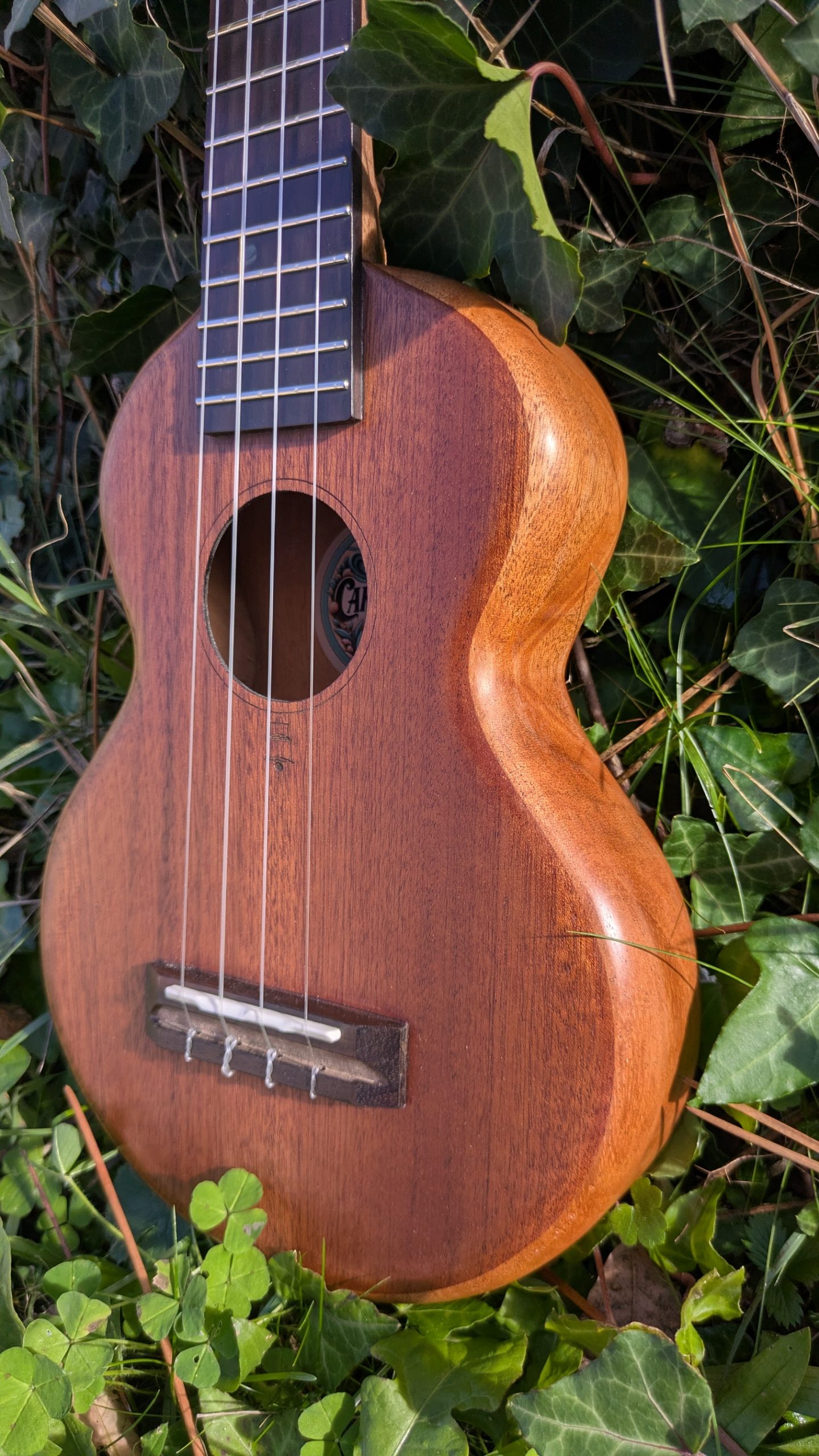 ukulele soprano grillon tout acajou – Image 6