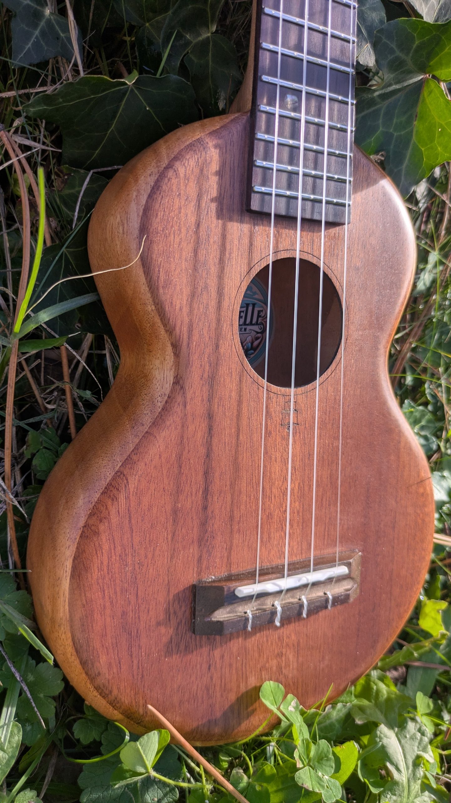 ukulele soprano grillon tout acajou – Image 5