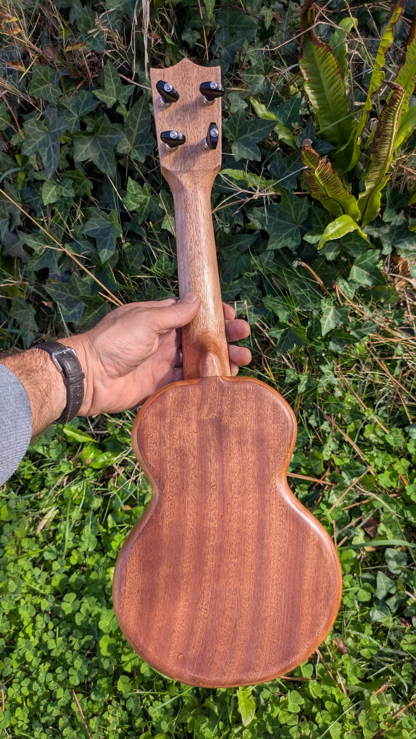 ukulele soprano grillon tout acajou – Image 7