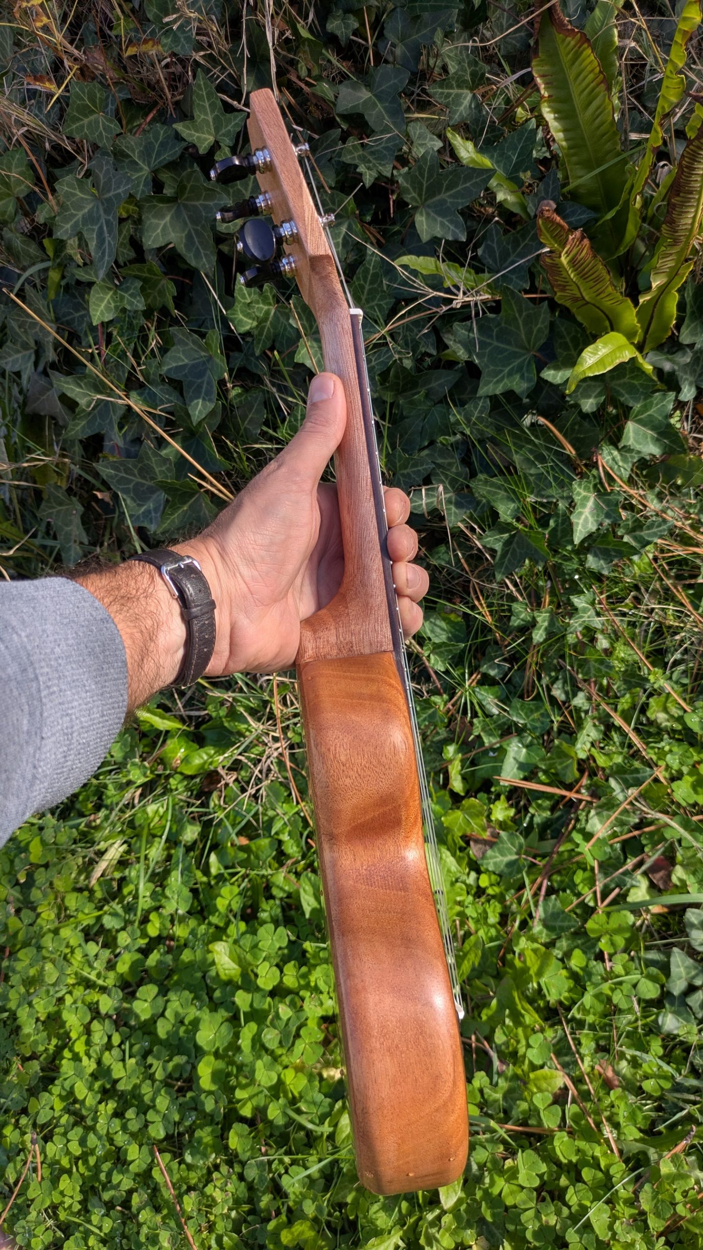 ukulele soprano grillon tout acajou – Image 2