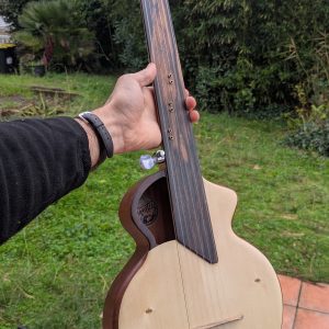 ukulele kora djeli ngoni
