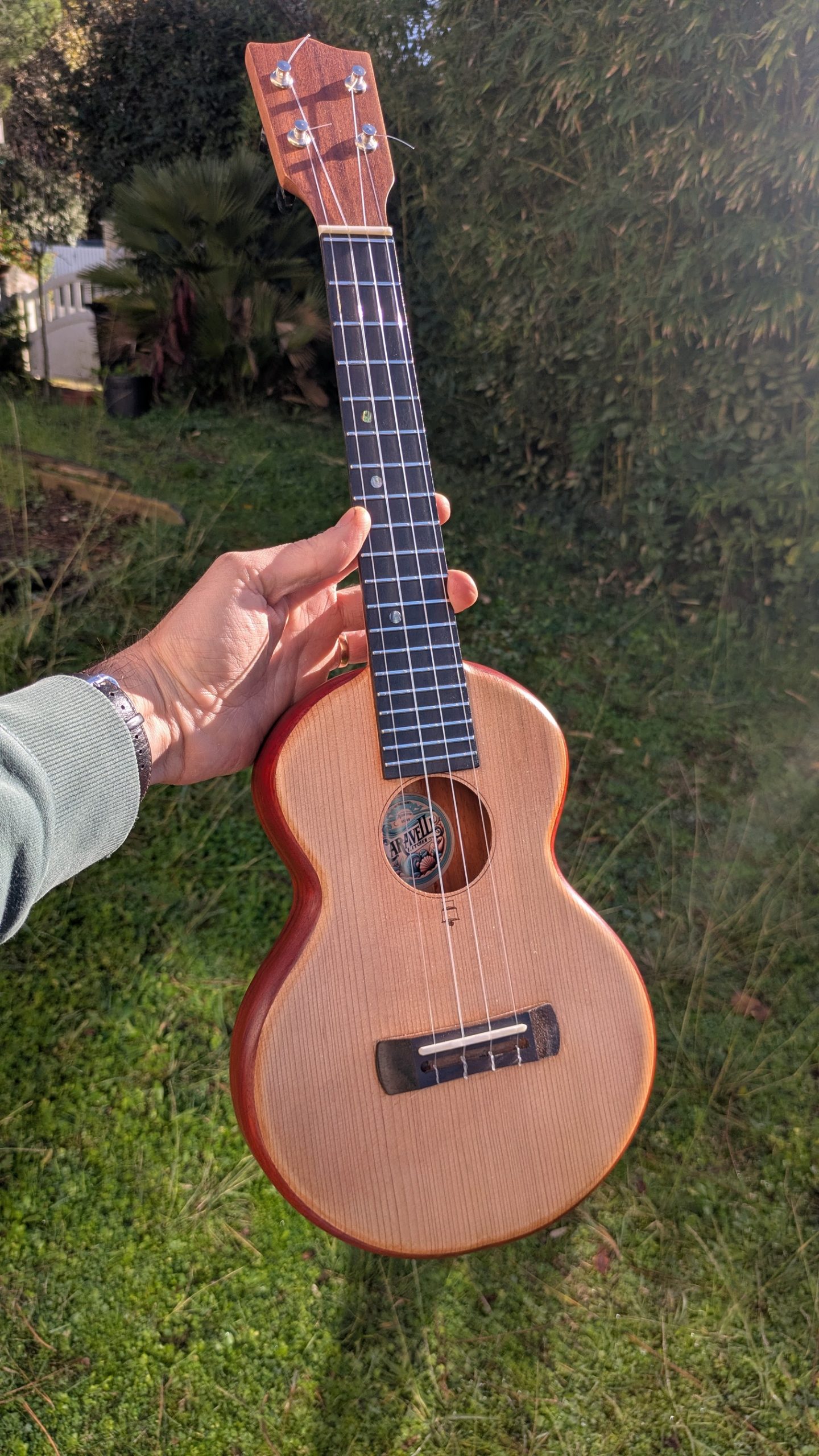 ukulele concert grillon monoxyle cèdre padouk – Image 8