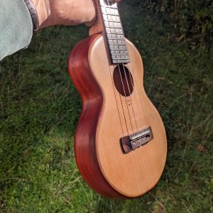 ukulele concert grillon