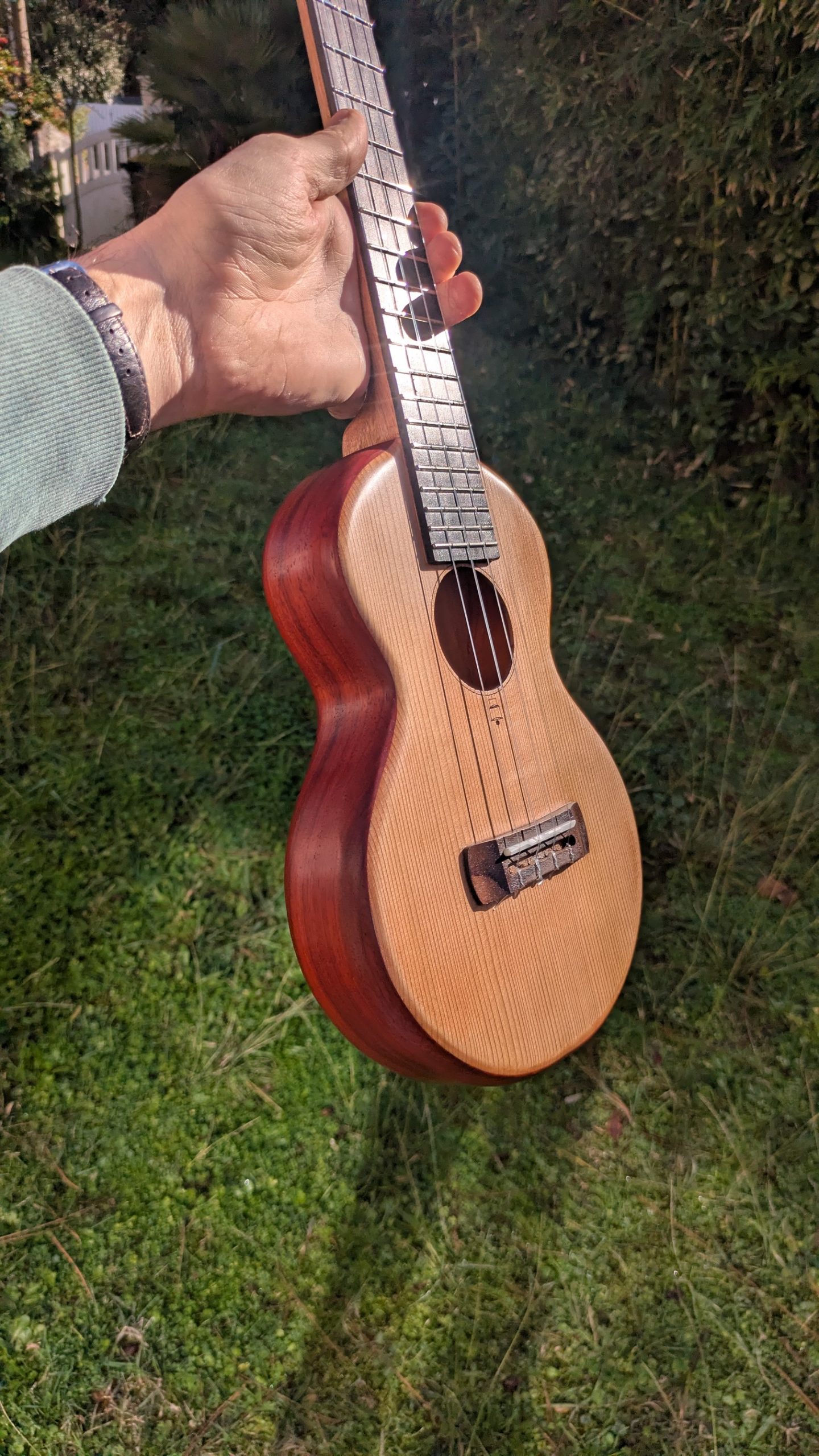 ukulele concert grillon