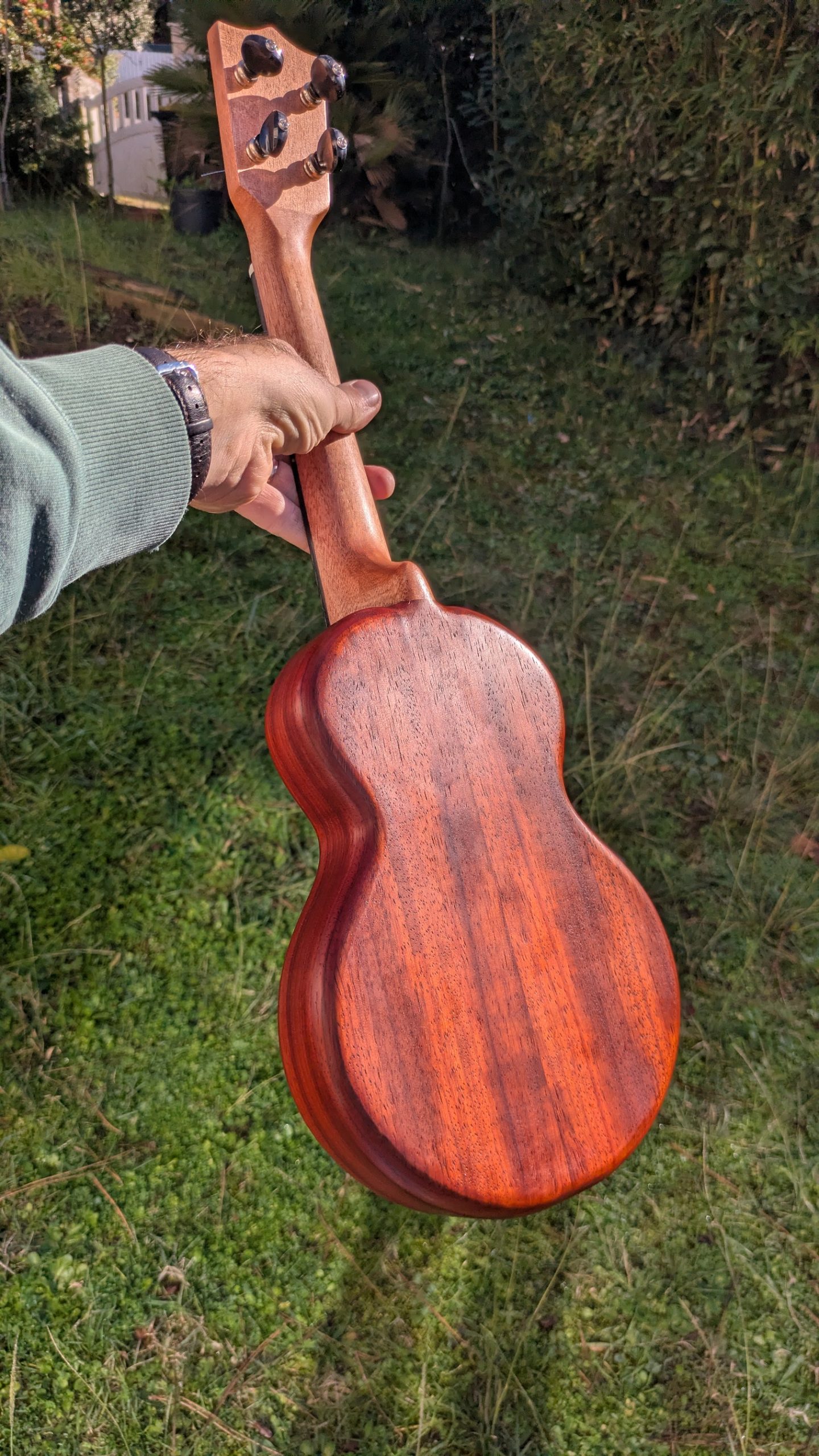 ukulele concert grillon monoxyle cèdre padouk – Image 5