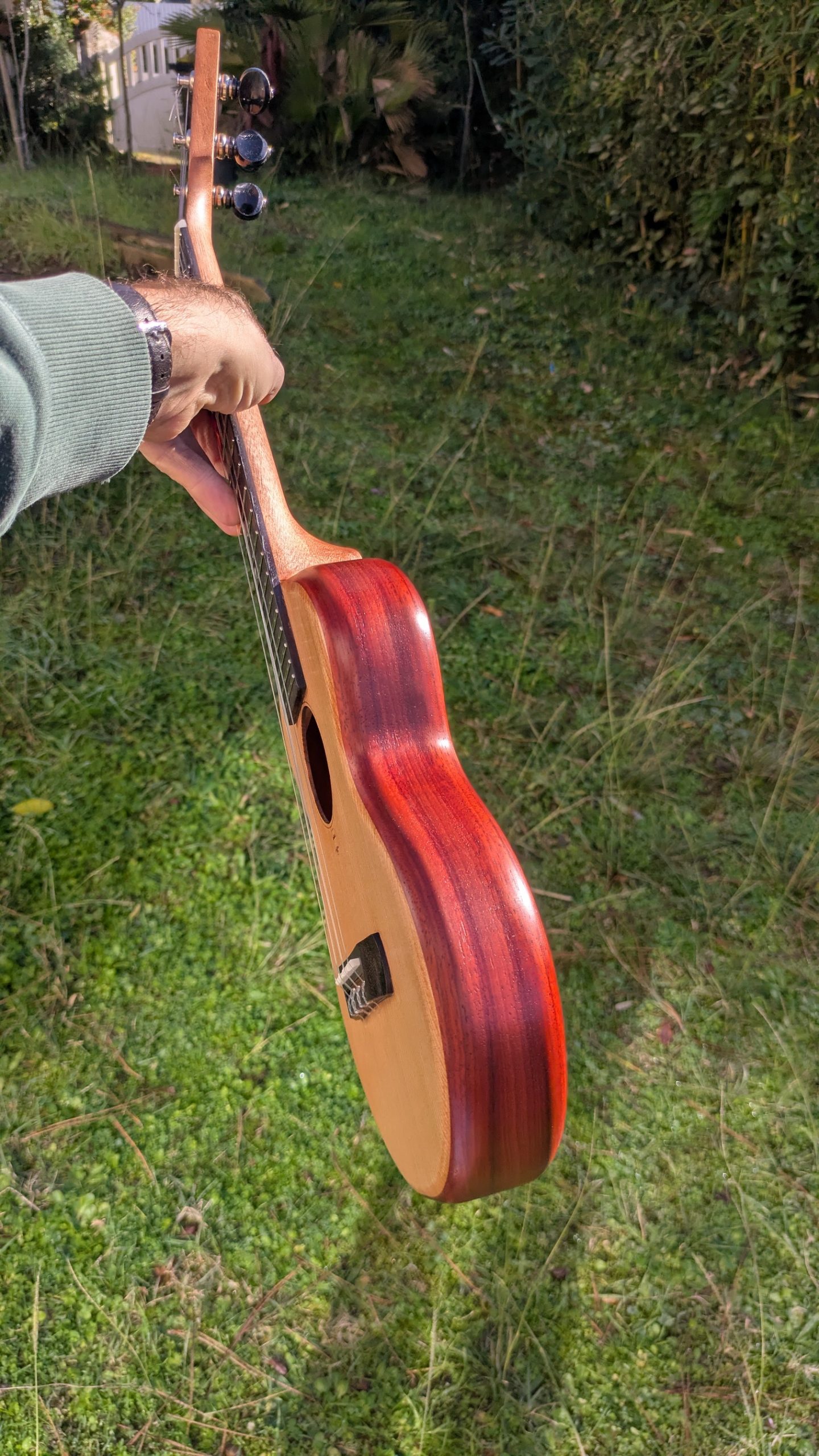 ukulele concert grillon monoxyle cèdre padouk – Image 3