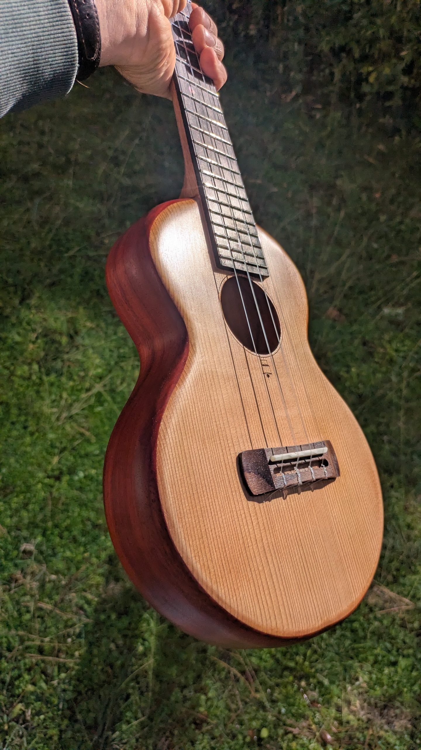 ukulele concert grillon monoxyle cèdre padouk – Image 6