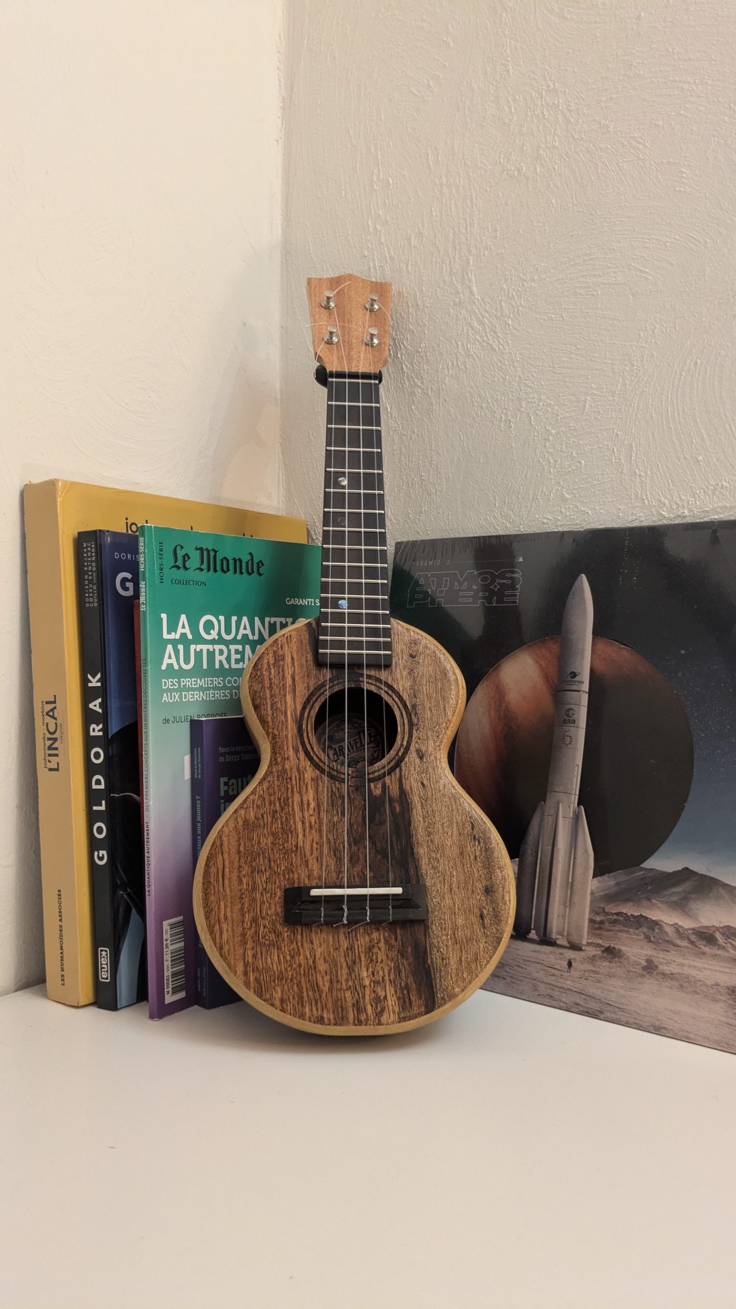 grillon manguier korina